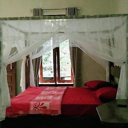 Raja Guest House - Jungle Trekking & Tours Bukit Lawang Sumatra Exterior foto